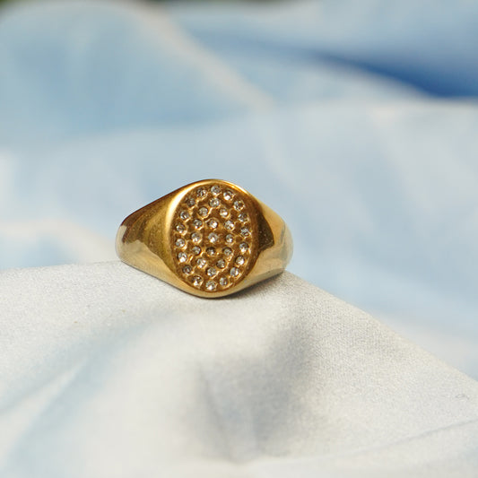 Pave Crystal Detailing Ring 316L