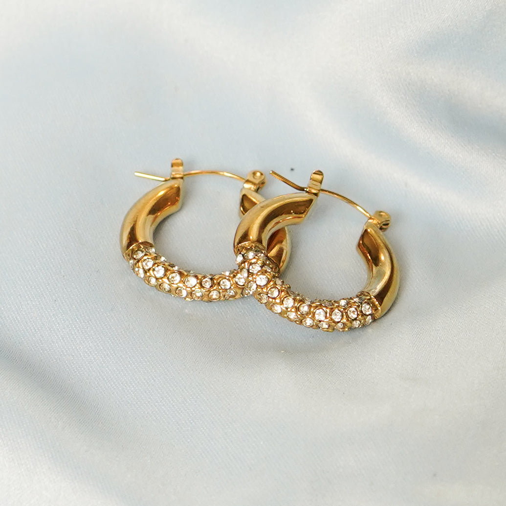 Gold Hoop Earrings With Crystal Accents 316L