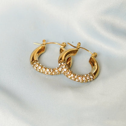 Gold Hoop Earrings With Crystal Accents 316L