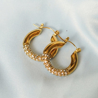 Gold Hoop Earrings With Crystal Accents 316L