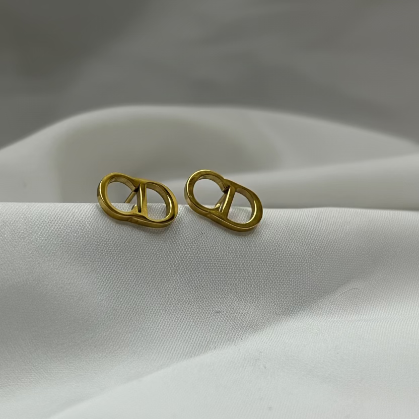 Christian Dior Stud Earrings 316L