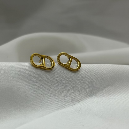 Christian Dior Stud Earrings 316L